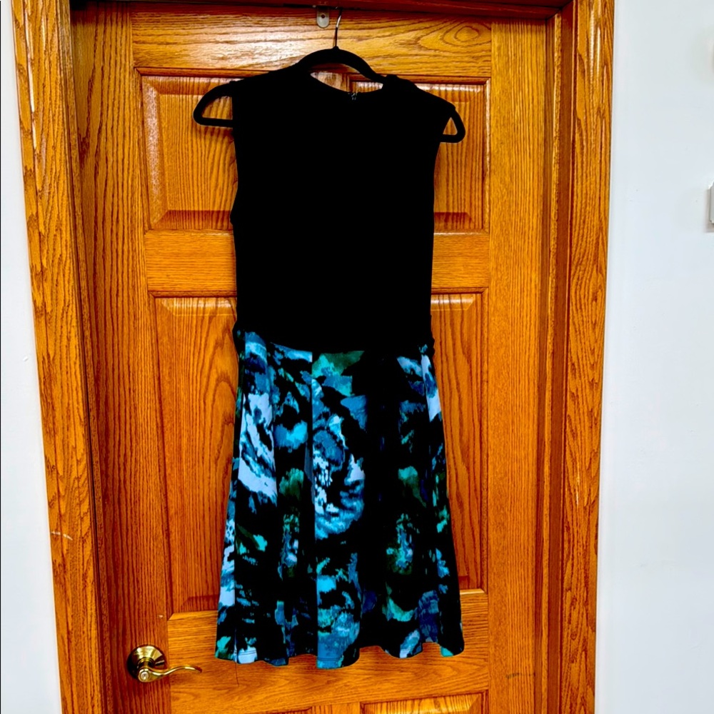 Taylor Black and Blue Fit and Flare Mini Dress